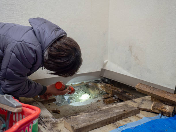 Best Mold Odor Removal Services  in Greenbrier, TN