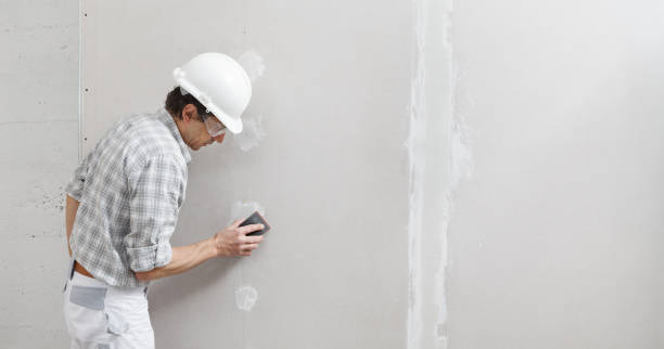 Best Black Mold Removal  in Greenbrier, TN