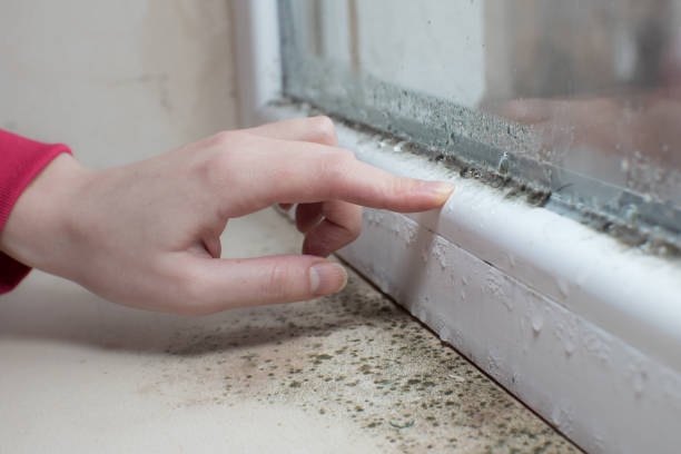 Best Post-Remediation Verification Testing  in Greenbrier, TN