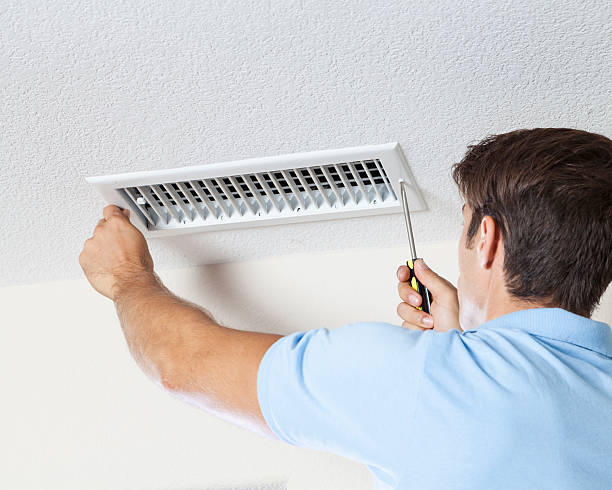 Best Mold Damage Restoration  in Greenbrier, TN
