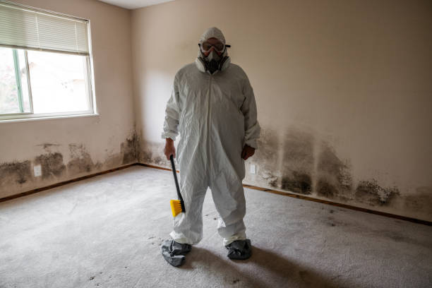 Best Mold Remediation for Vacation Homes  in Greenbrier, TN