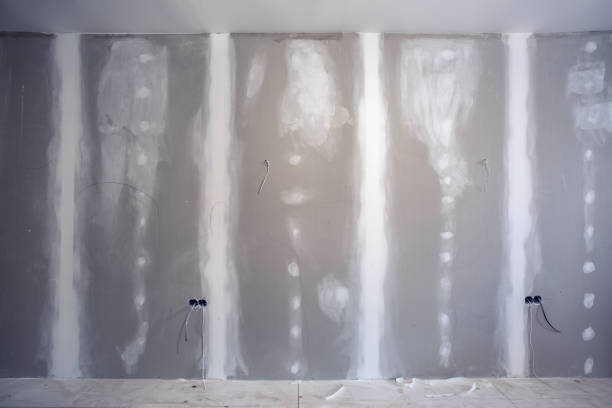 Best Real Estate Mold Inspection  in Greenbrier, TN